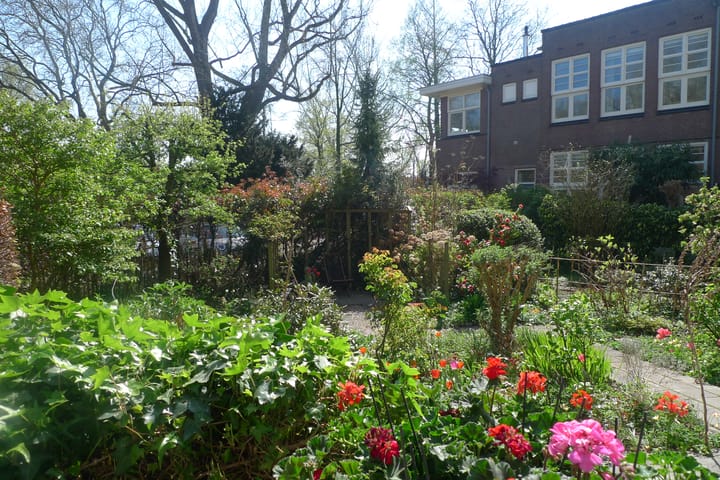 Foto 37 van Dr. C.W.H. van Raaltenpark 5