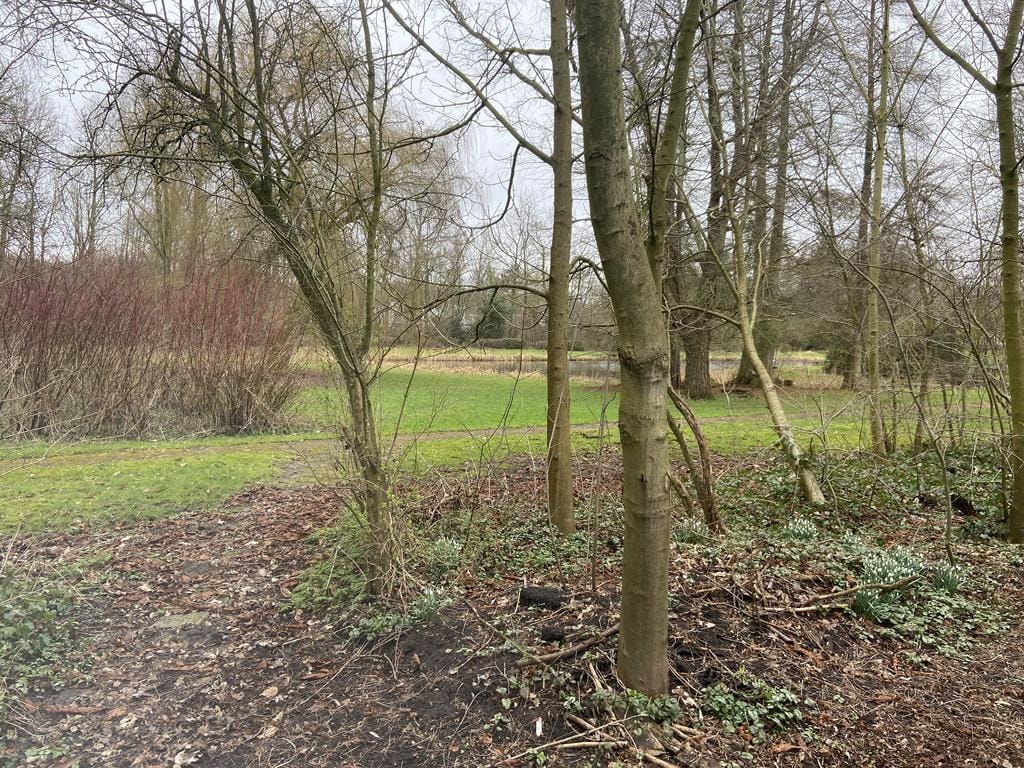 Foto 6 van Zuidlaan 69