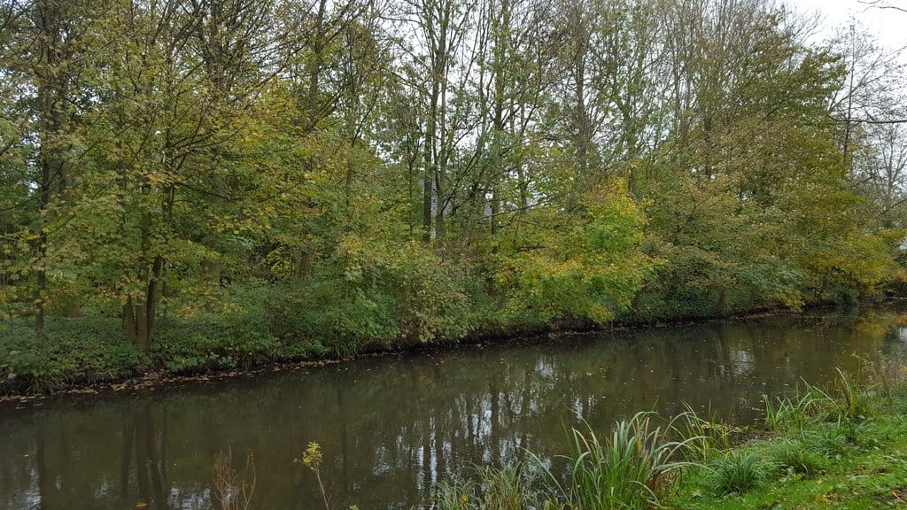 Foto 19 van Zuidlaan 69