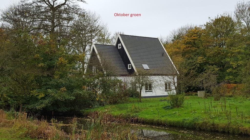 Foto 31 van Zuidlaan 69