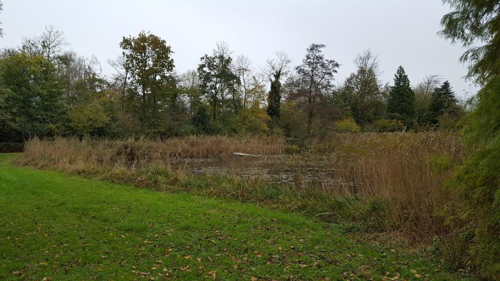 Foto 34 van Zuidlaan 69