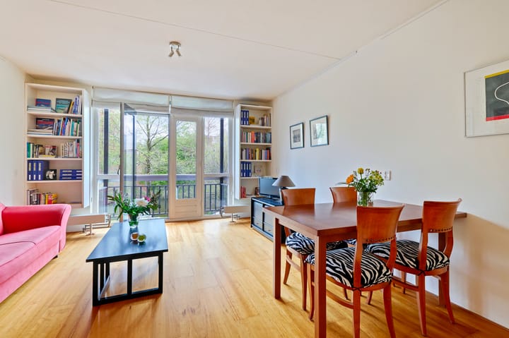 Foto 3 van Hortusplantsoen 34