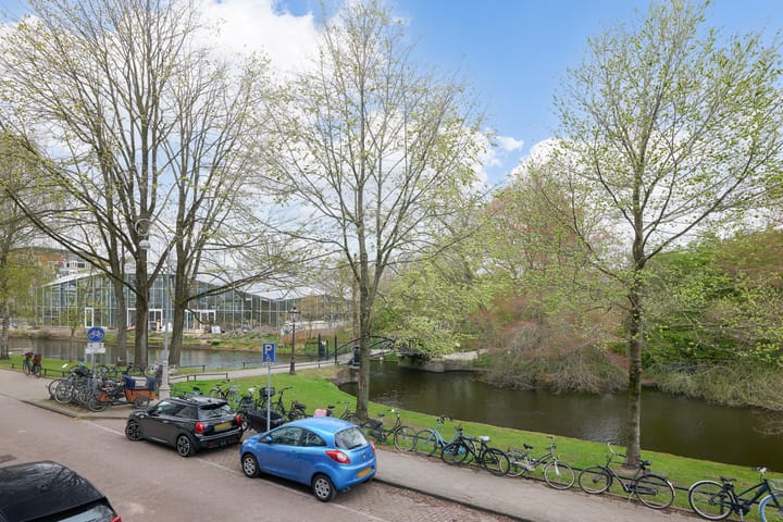 Foto 6 van Hortusplantsoen 34