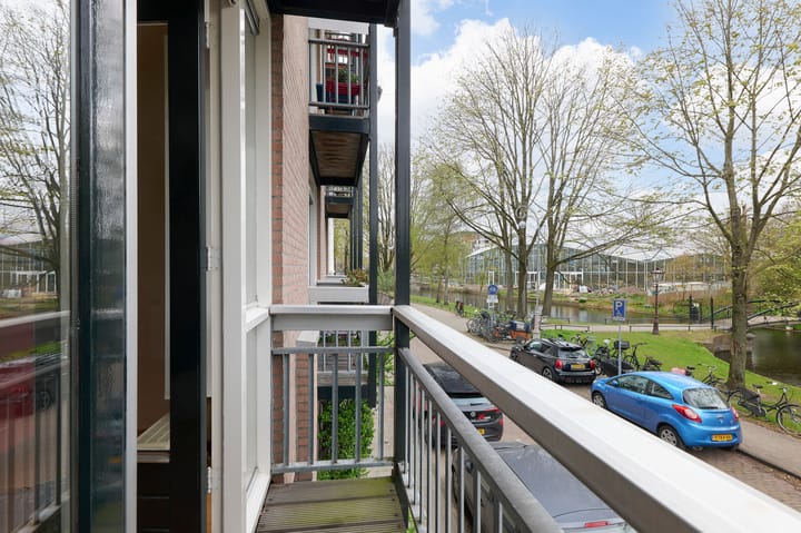 Foto 7 van Hortusplantsoen 34