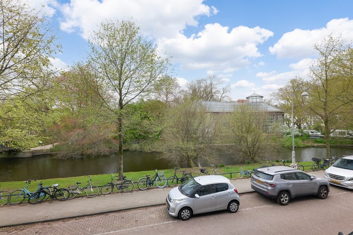 Foto 8 van Hortusplantsoen 34