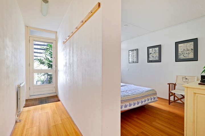 Foto 12 van Hortusplantsoen 34