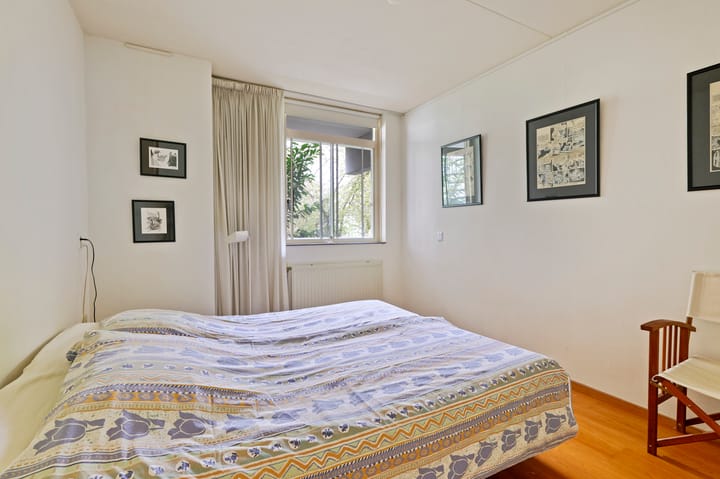 Foto 13 van Hortusplantsoen 34