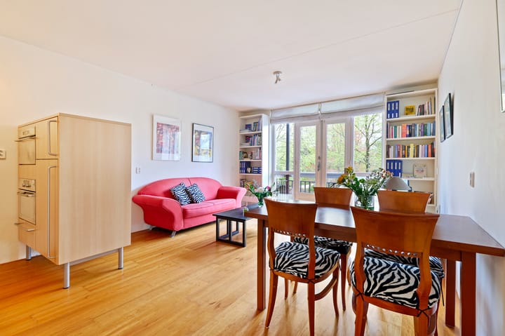 Foto 11 van Hortusplantsoen 34