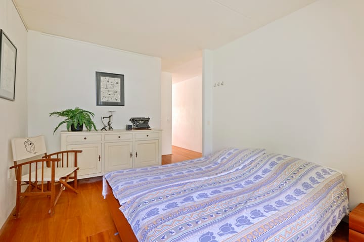 Foto 14 van Hortusplantsoen 34