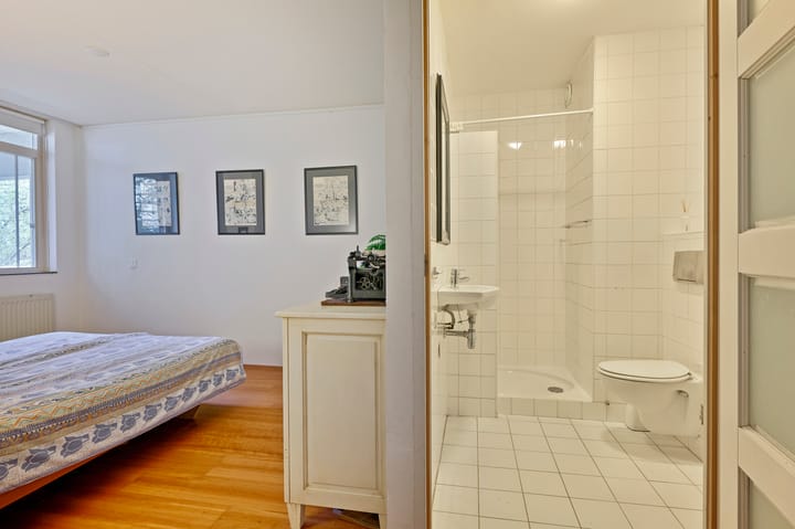 Foto 15 van Hortusplantsoen 34