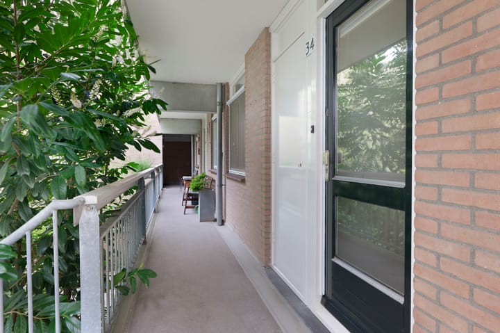 Foto 17 van Hortusplantsoen 34