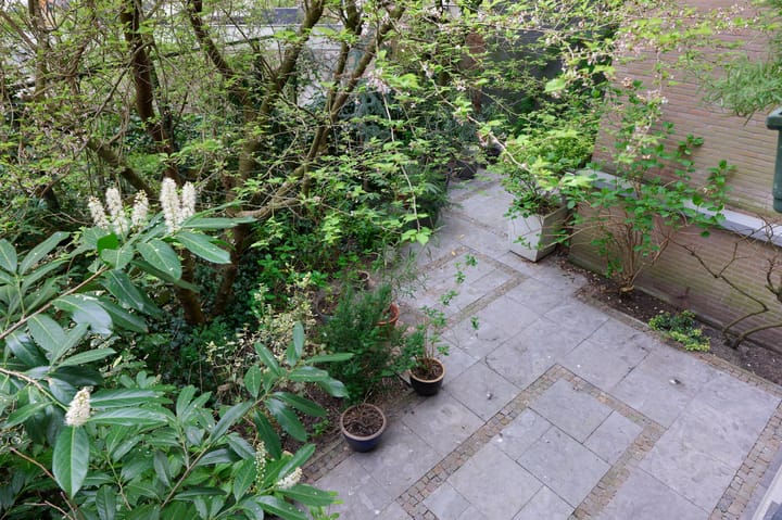 Foto 18 van Hortusplantsoen 34