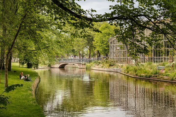 Foto 22 van Hortusplantsoen 34