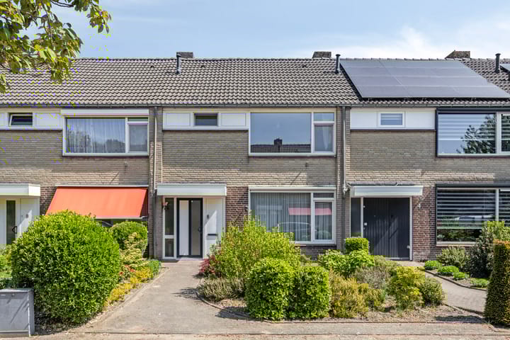 undefined main image