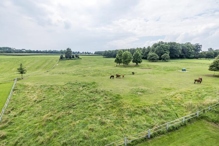 Foto 26 van Dorpsstraat 8-A