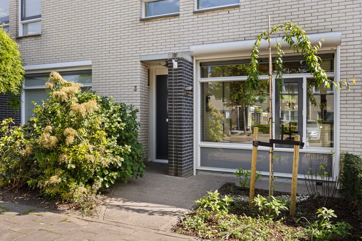 Foto 4 van Dagpauwoog 3