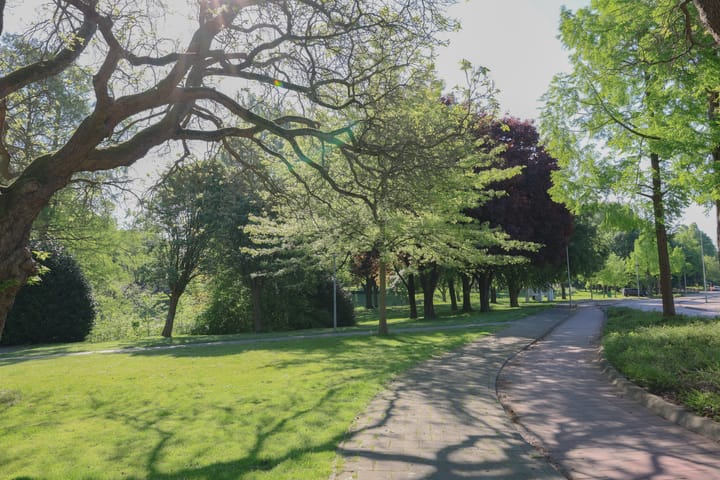 Foto 19 van Schandelerboord 13-E