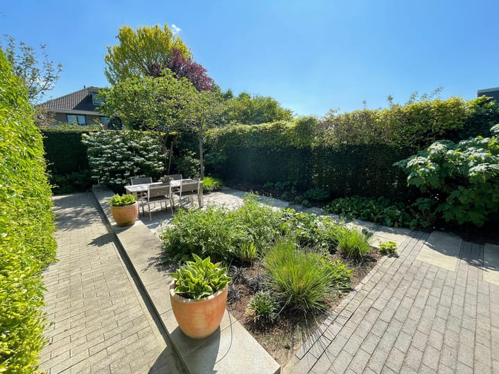 Foto 25 van Romulus 45