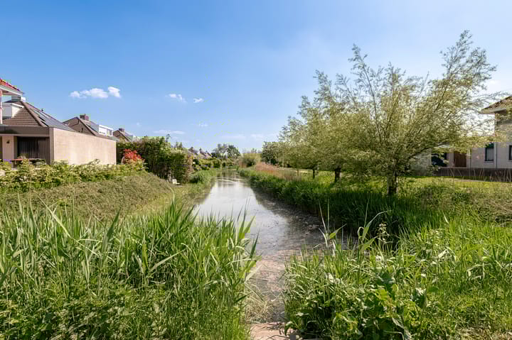 Foto 53 van Romulus 45