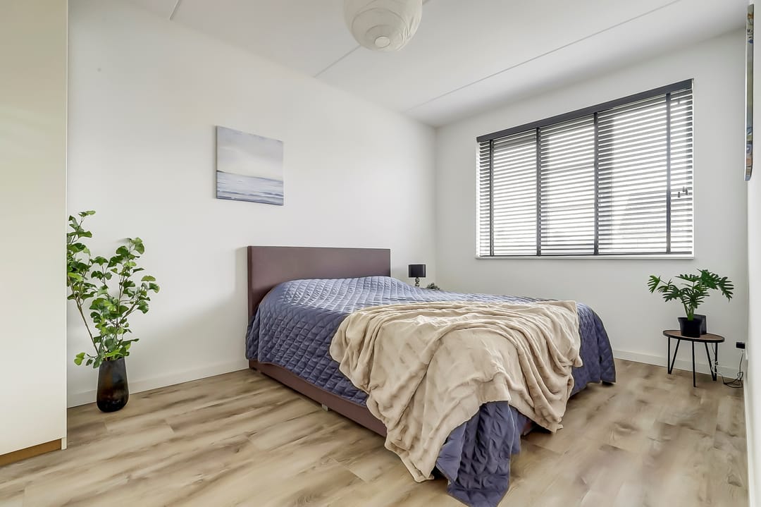 Photo 17 of De Vriendschap 42