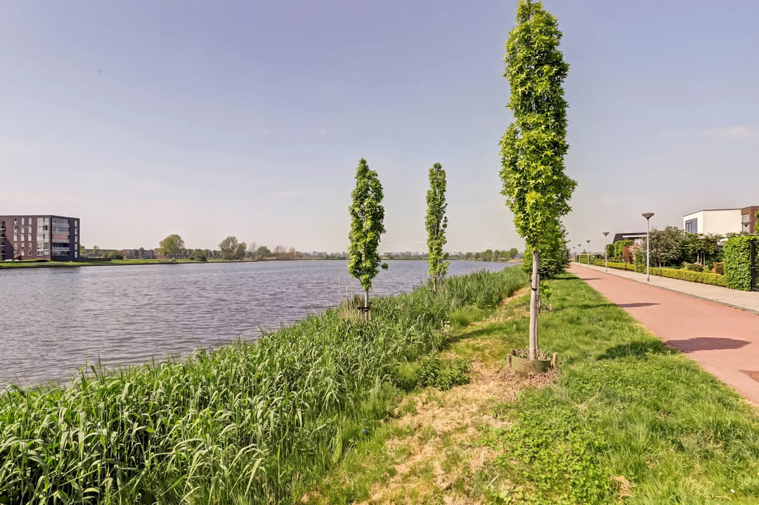 Photo 38 of De Vriendschap 42