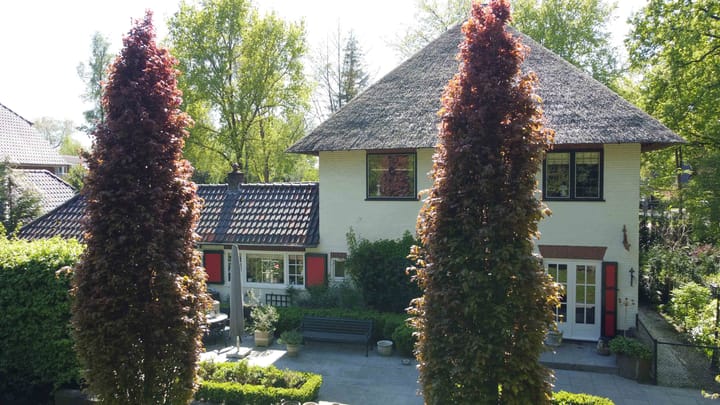 Foto 2 van Lohuizerweg 2