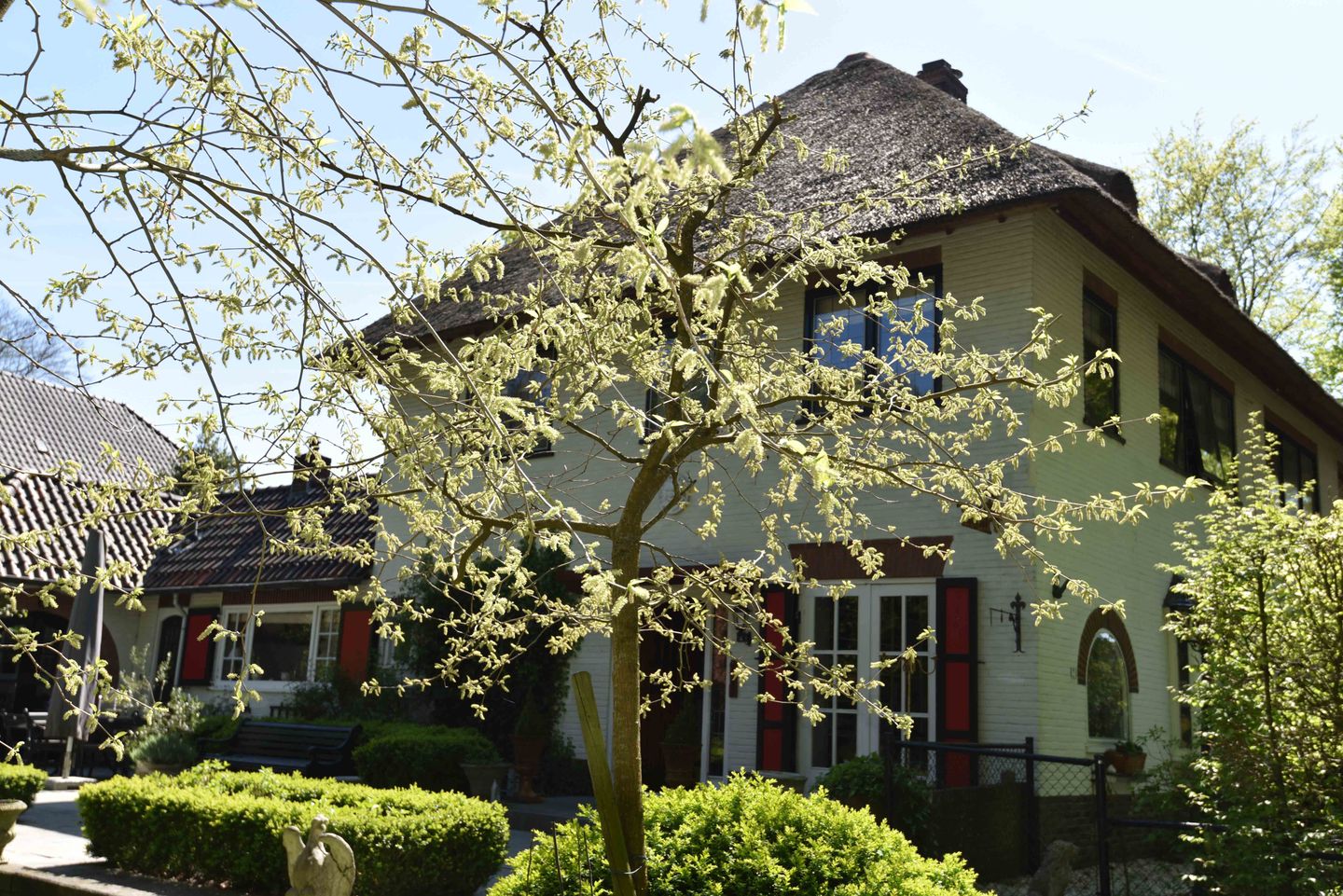 Foto 4 van Lohuizerweg 2