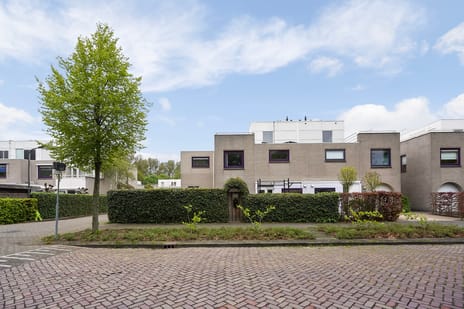 Kastanjedal thumbnail