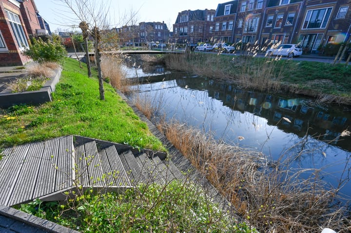 Foto 10 van Thomas Mannsingel 53