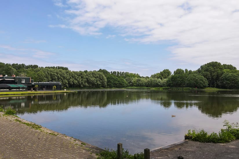 Foto 55 van Thomas Mannsingel 53