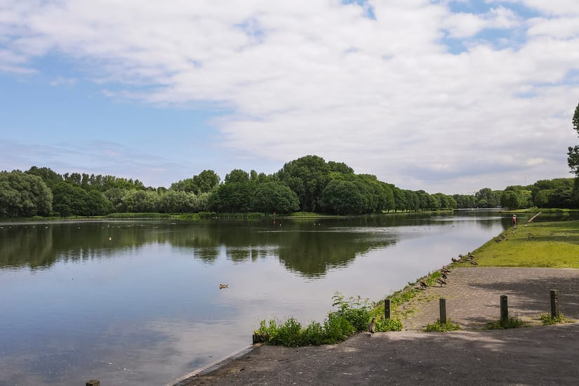 Foto 56 van Thomas Mannsingel 53