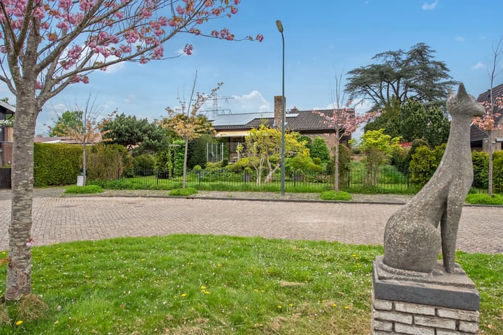 Foto 48 van Koolmeeslaan 1