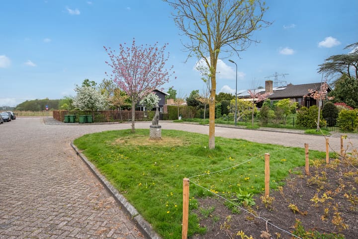 Foto 49 van Koolmeeslaan 1