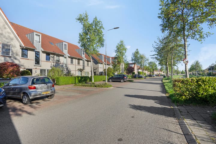 Foto 40 van Valeriaan 82