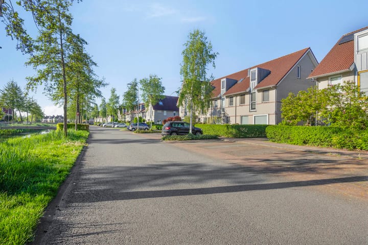 Foto 41 van Valeriaan 82