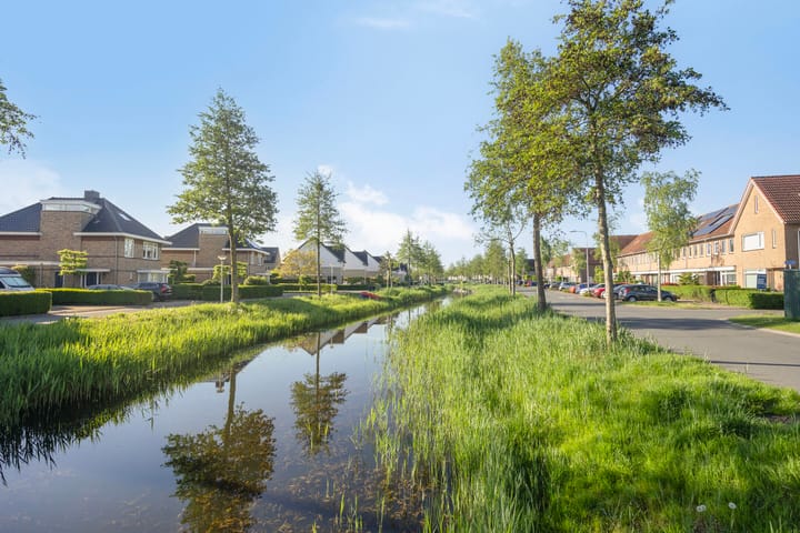 Foto 44 van Valeriaan 82