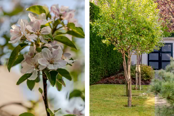 Foto 51 van Nieuweweg 25