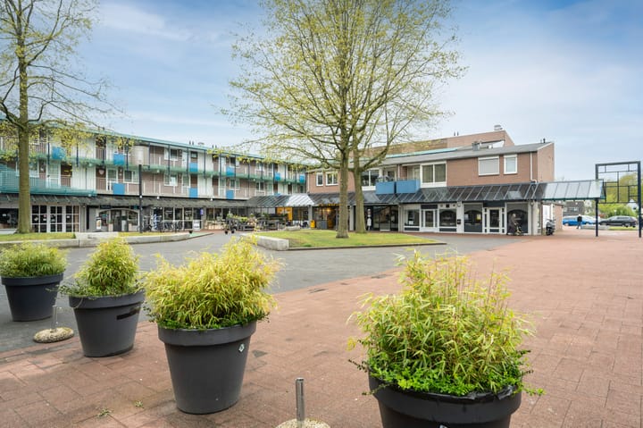 Foto 30 van Giervalk 37