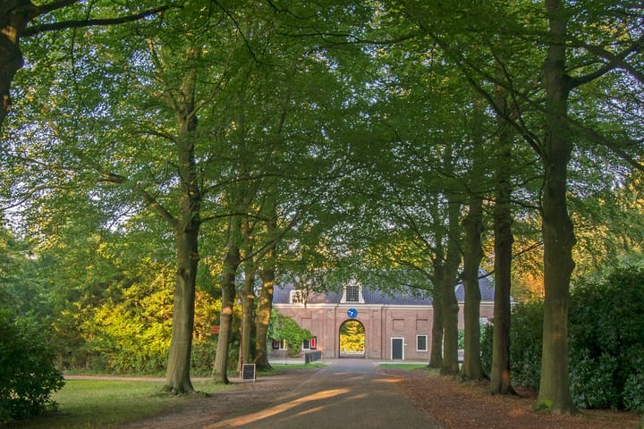 Foto 39 van Van 't Hoffstraat 14