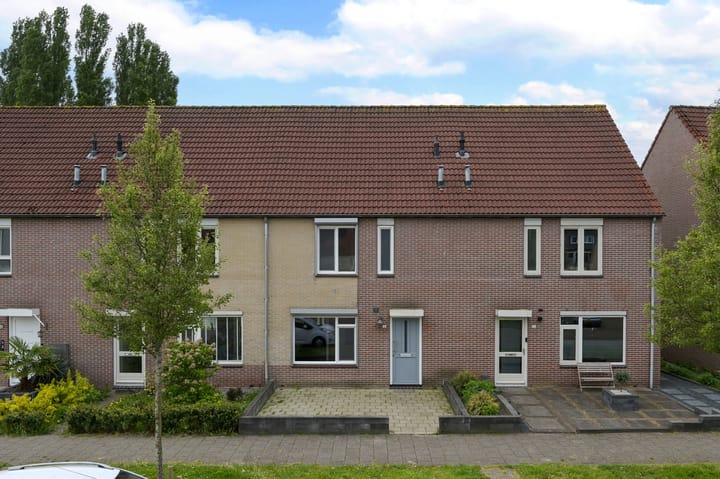 Photo 1 of Egelantier 41