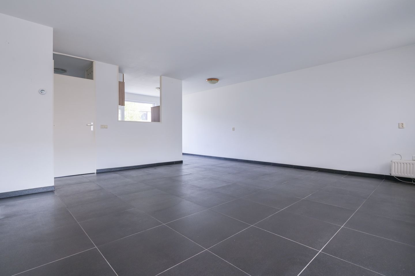 Photo 10 of Egelantier 41