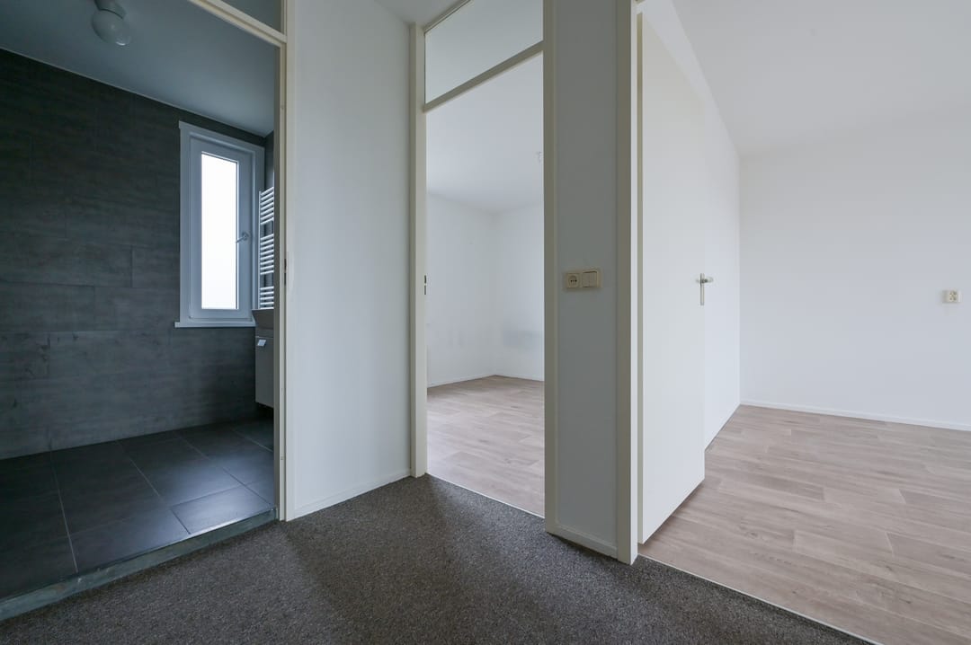 Photo 13 of Egelantier 41