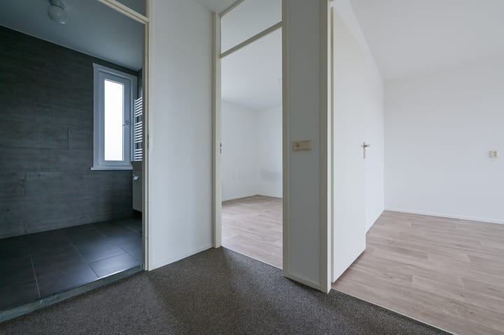 Photo 13 of Egelantier 41