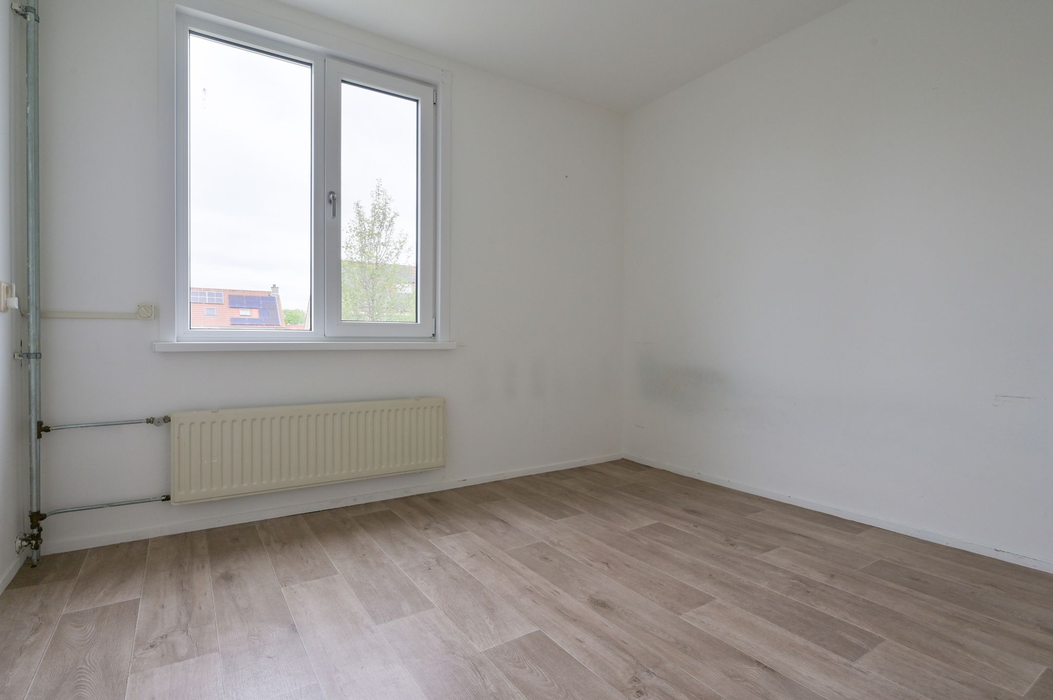 Photo 15 of Egelantier 41