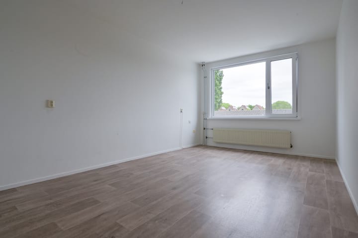 Photo 19 of Egelantier 41