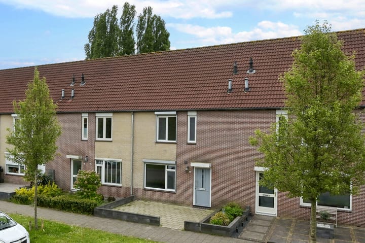 Photo 47 of Egelantier 41