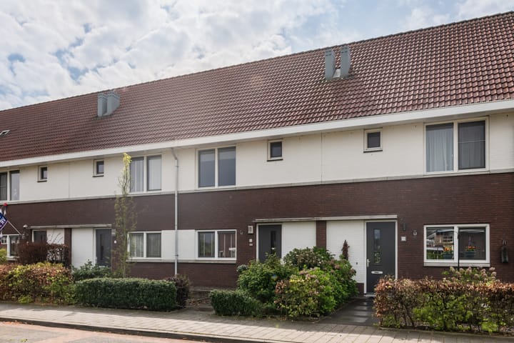 undefined main image
