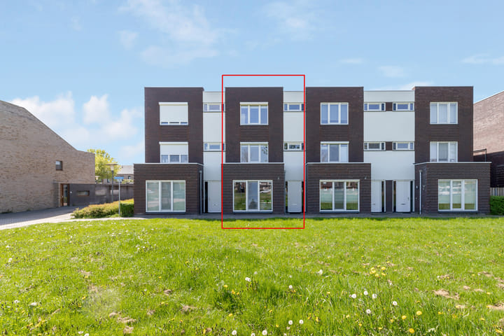 Foto 5 van Berkenpad 3