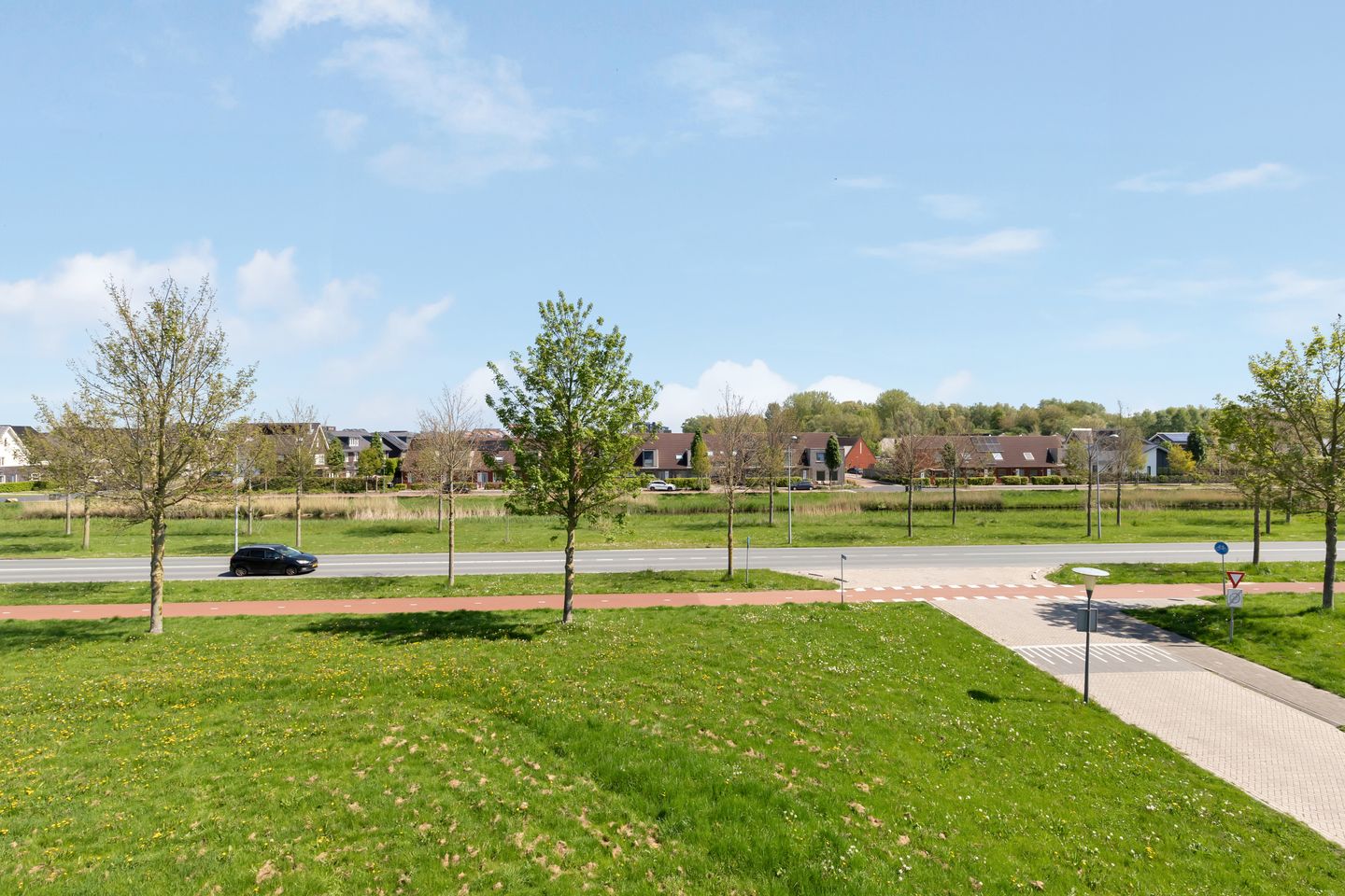 Foto 50 van Berkenpad 3