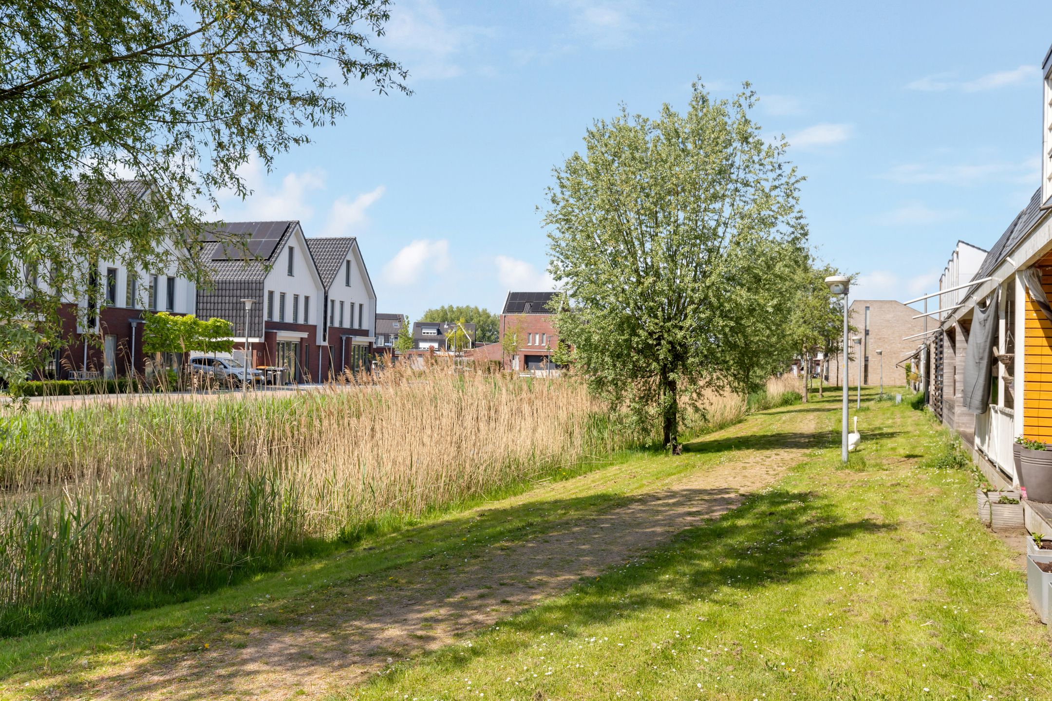 Foto 51 van Berkenpad 3